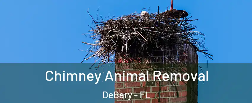  Chimney Animal Removal DeBary - FL