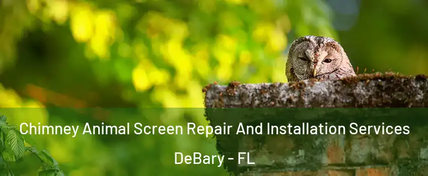  Chimney Animal Screen Repair And Installation Services DeBary - FL