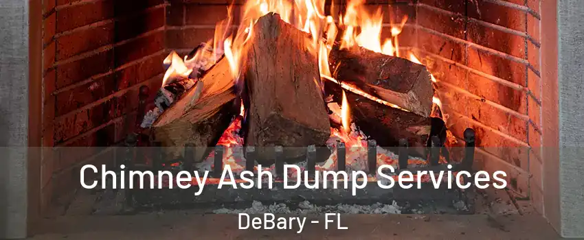  Chimney Ash Dump Services DeBary - FL