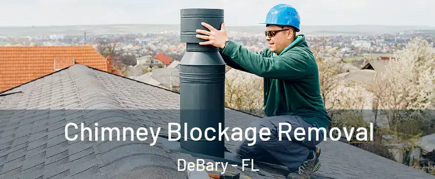  Chimney Blockage Removal DeBary - FL