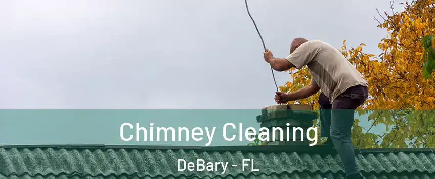  Chimney Cleaning DeBary - FL