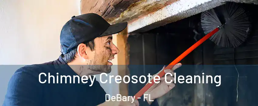  Chimney Creosote Cleaning DeBary - FL