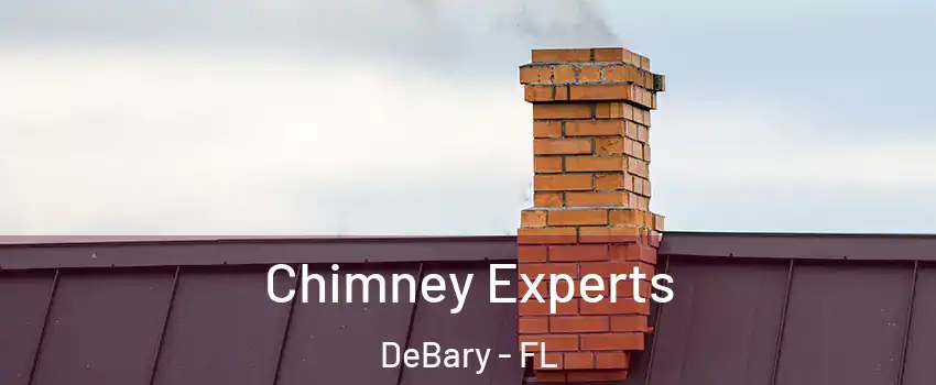  Chimney Experts DeBary - FL