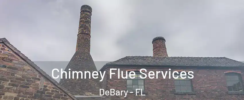  Chimney Flue Services DeBary - FL