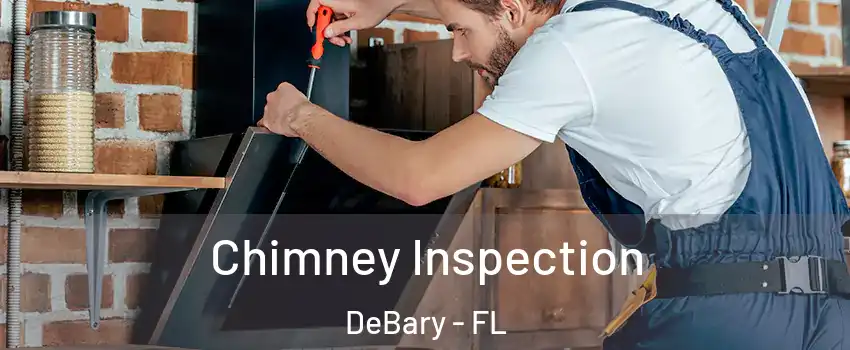  Chimney Inspection DeBary - FL