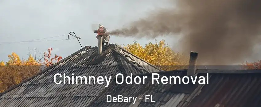  Chimney Odor Removal DeBary - FL