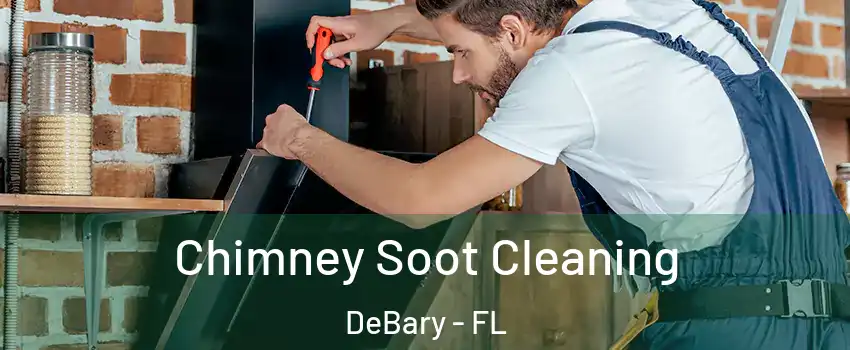  Chimney Soot Cleaning DeBary - FL