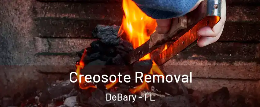  Creosote Removal DeBary - FL