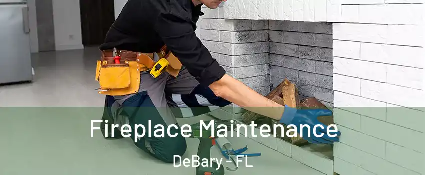  Fireplace Maintenance DeBary - FL