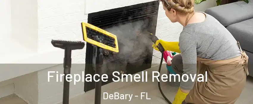  Fireplace Smell Removal DeBary - FL