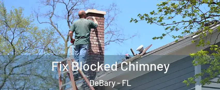 Fix Blocked Chimney DeBary - FL