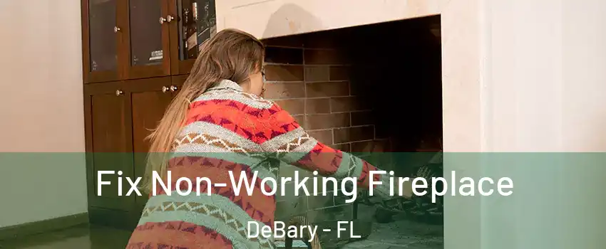  Fix Non-Working Fireplace DeBary - FL