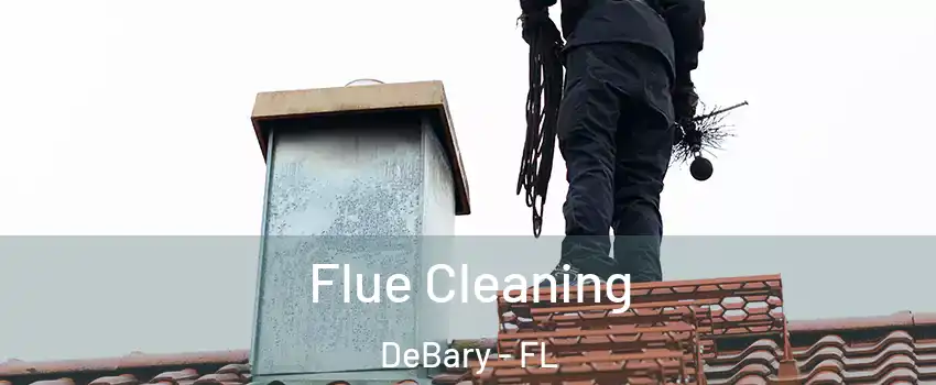  Flue Cleaning DeBary - FL