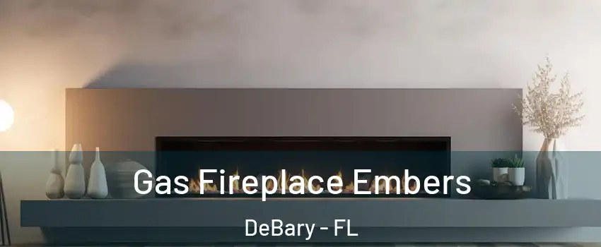  Gas Fireplace Embers DeBary - FL
