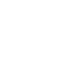 Professional Chimney Flue Installation in DeBary, Florida