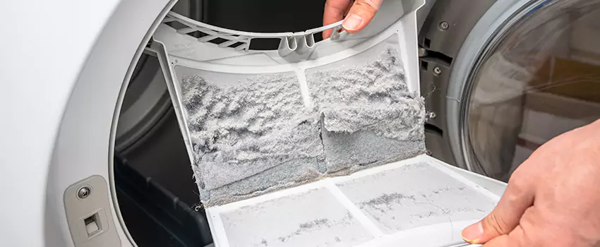 Best Dryer Lint Removal Company in DeBary, Florida
