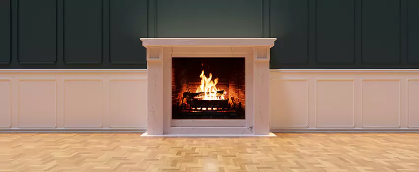 Napoleon Electric Fireplaces Inspection Service in DeBary, Florida