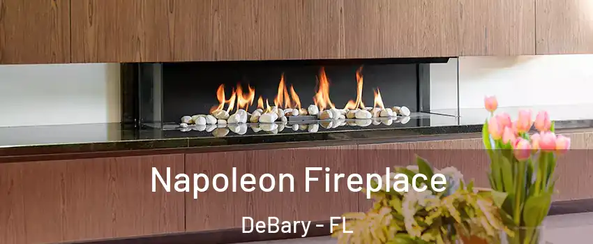  Napoleon Fireplace DeBary - FL