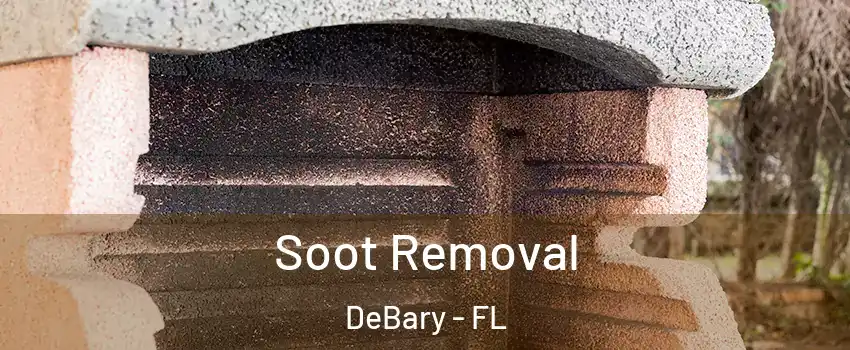  Soot Removal DeBary - FL